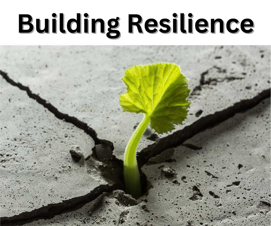 Building Resilience